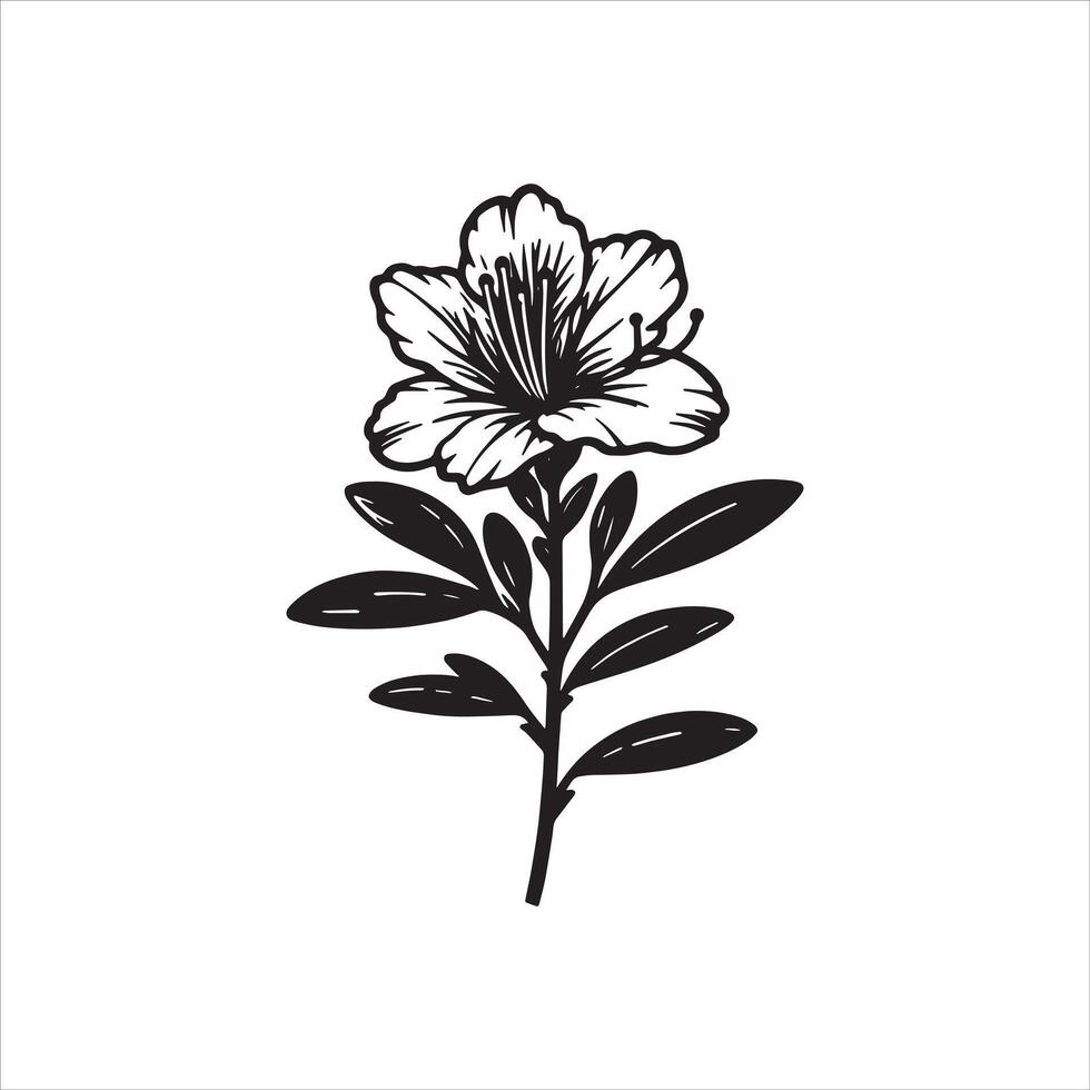Petals of Purity Azalea in Bloom vector