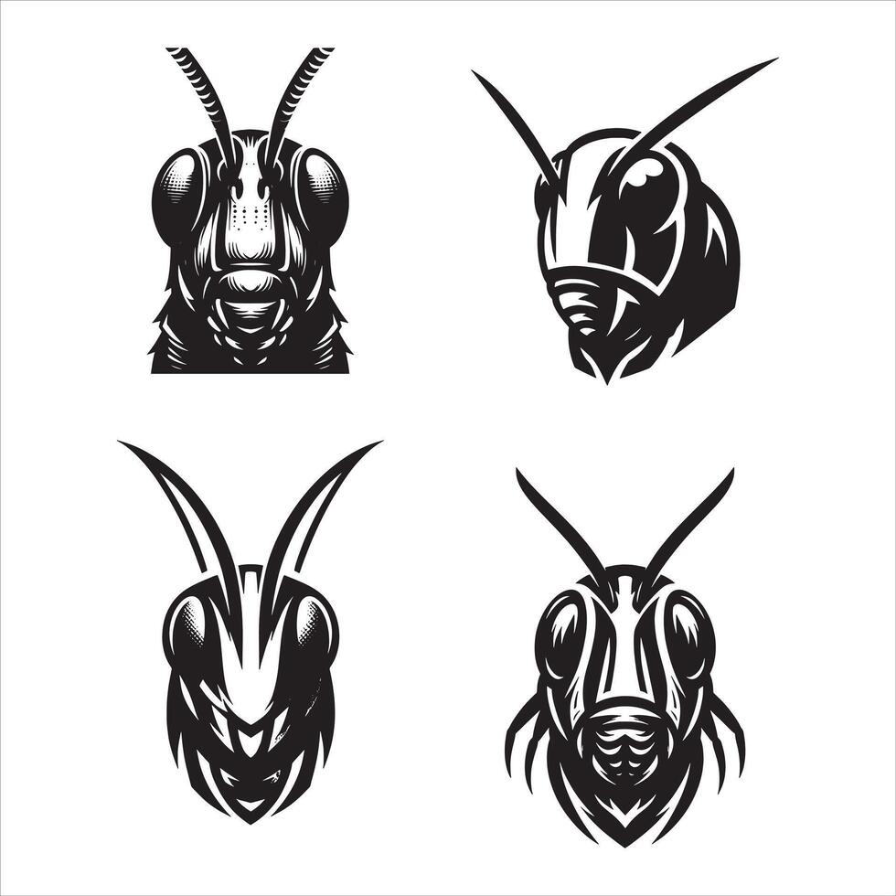 The Beauty of Grasshoppers vector