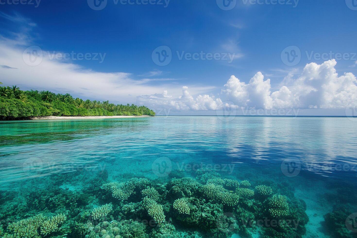 Serene ocean view with coral and lush greenery. photo