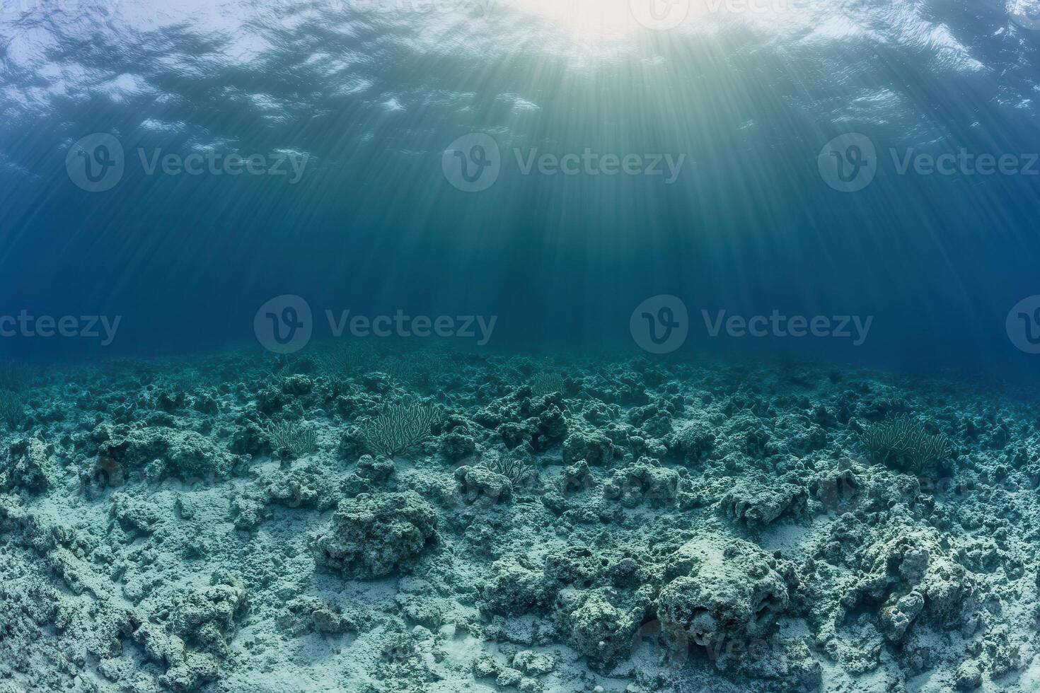 Underwater scene with sunlight rays illuminating the ocean. photo