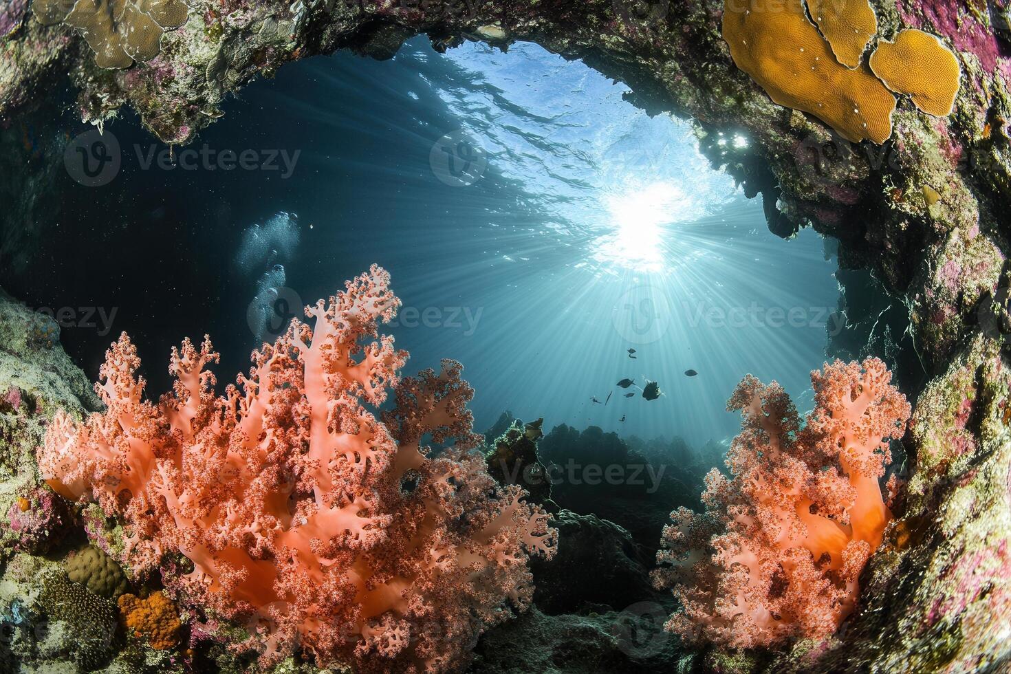 Underwater scene with vibrant coral and sun rays. photo