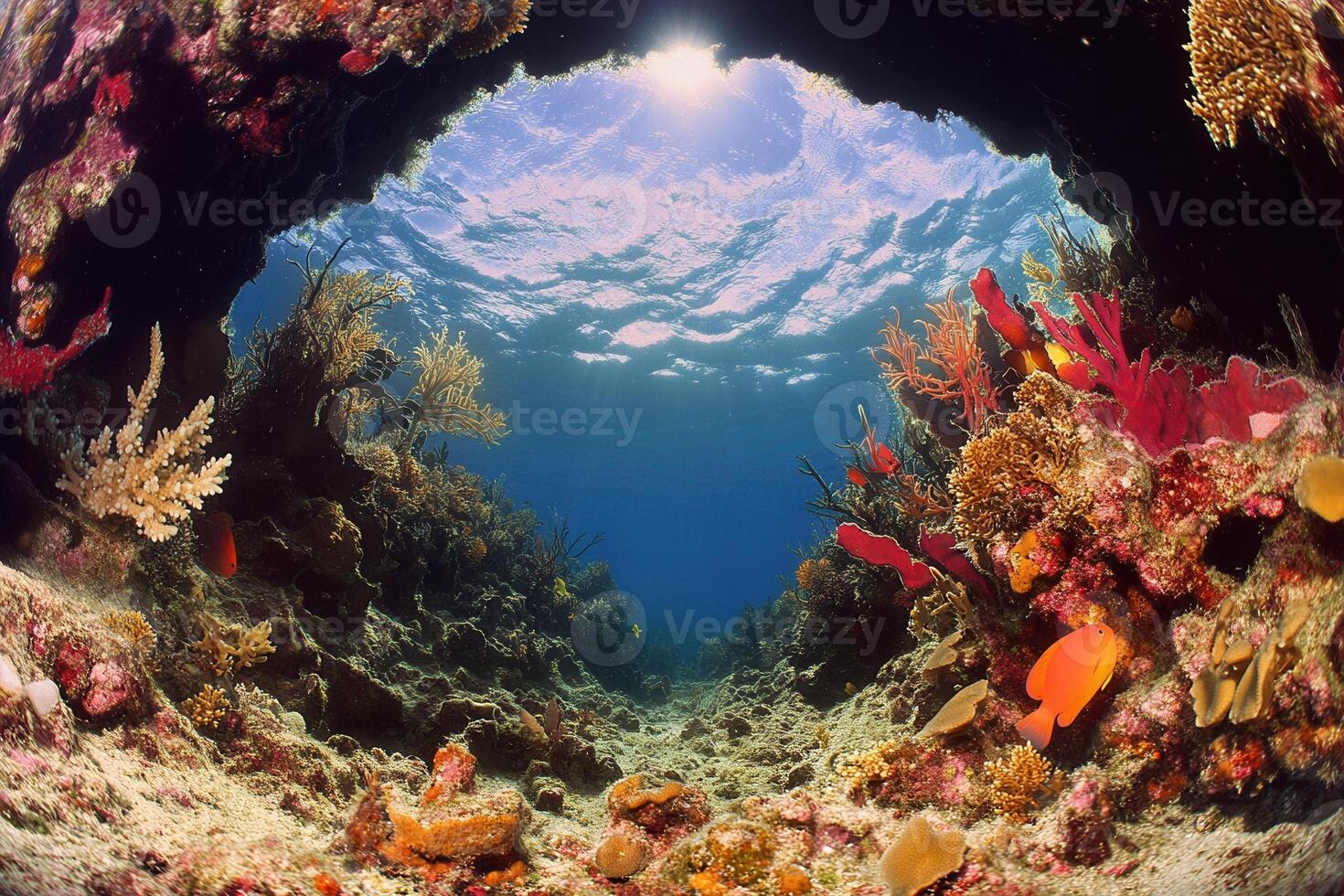 Underwater scene with vibrant coral and sunlight. photo