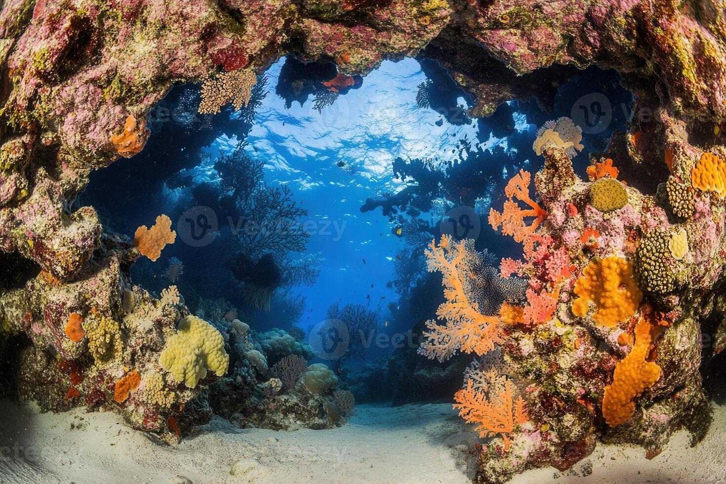 Vibrant coral reef scene with diverse marine life. photo