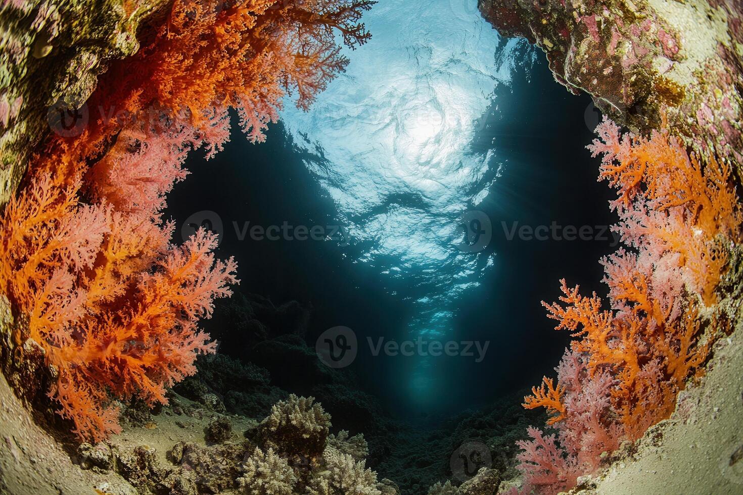 Vibrant coral reef scene viewed from underwater. photo