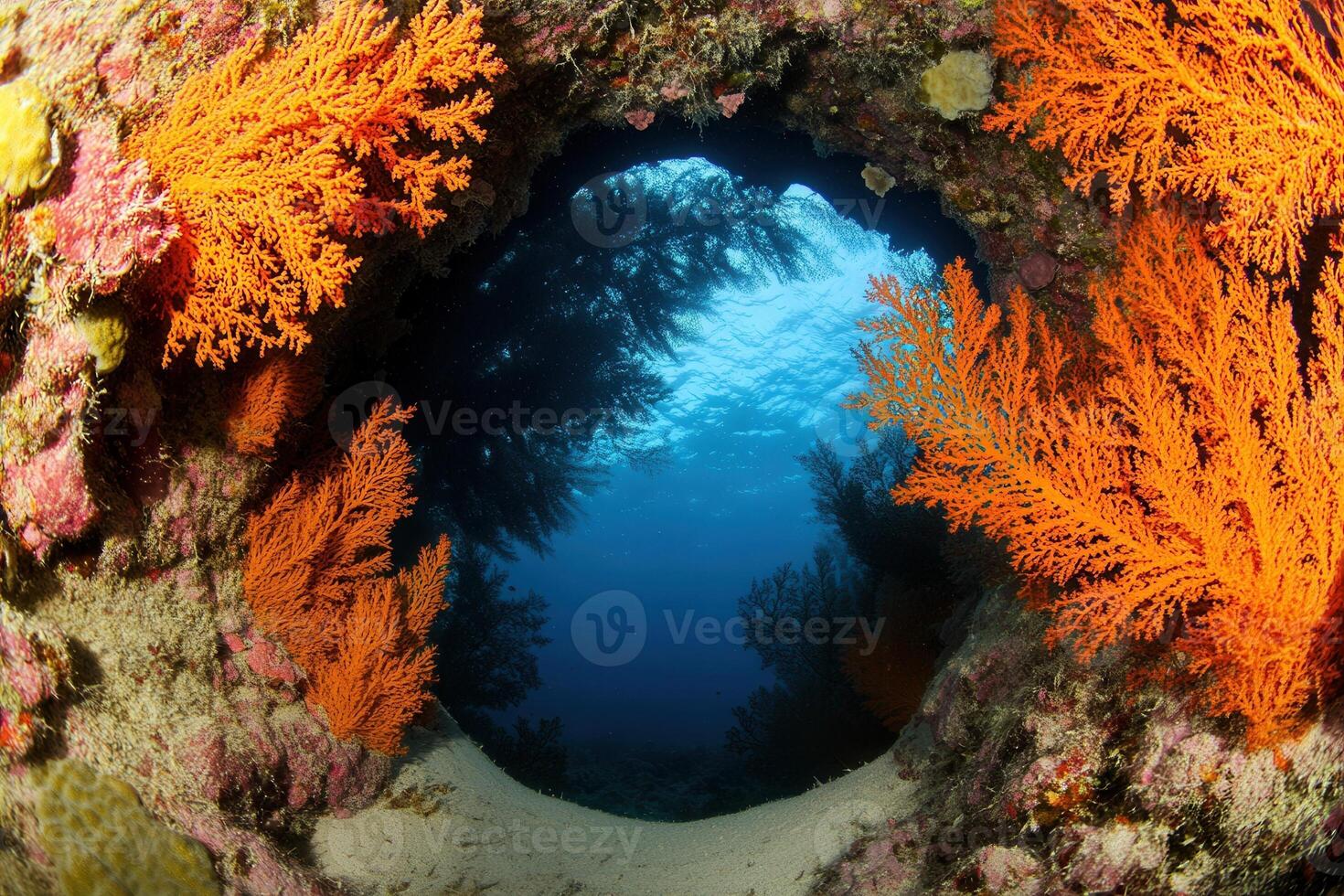 Vibrant coral reef viewed through an underwater archway. photo