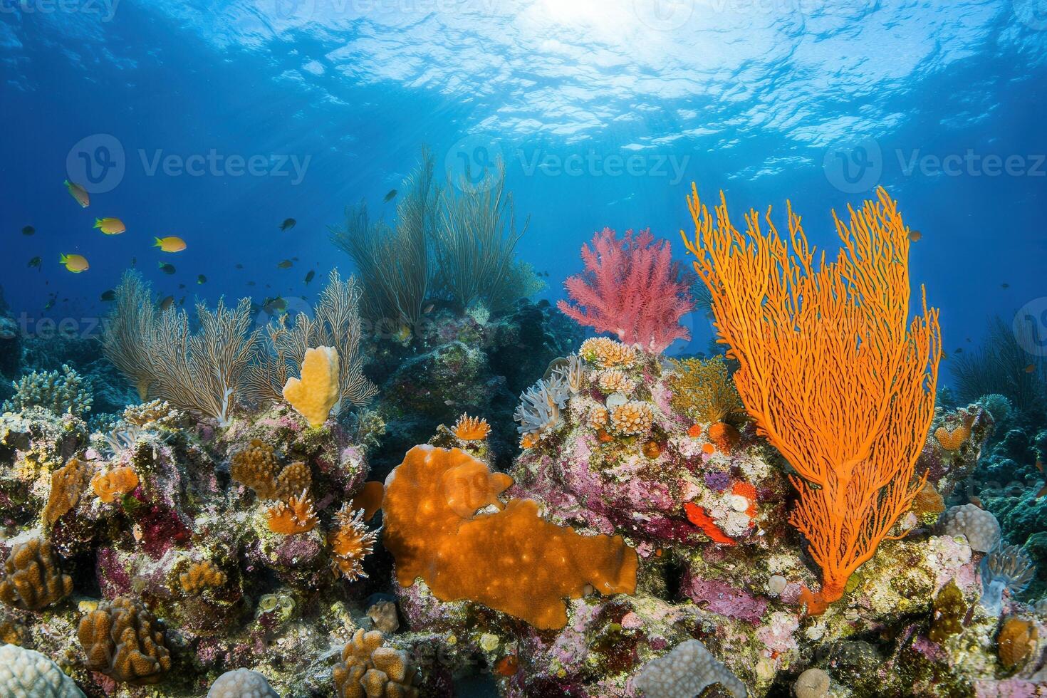 Vibrant coral reef with diverse marine life and colors. photo