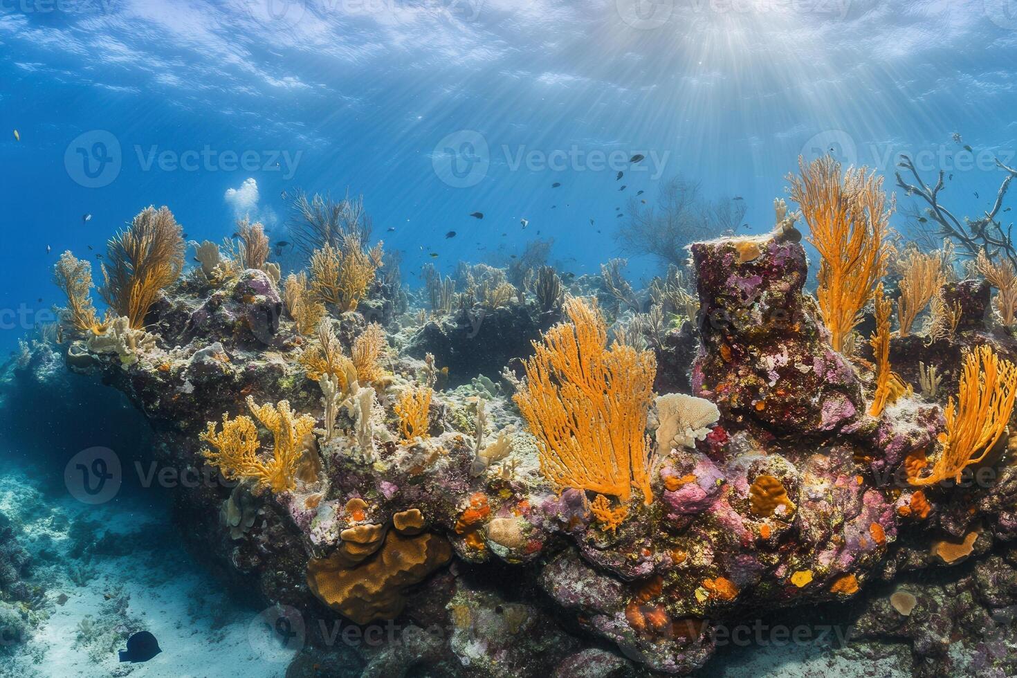 Vibrant coral reef teeming with marine life. photo