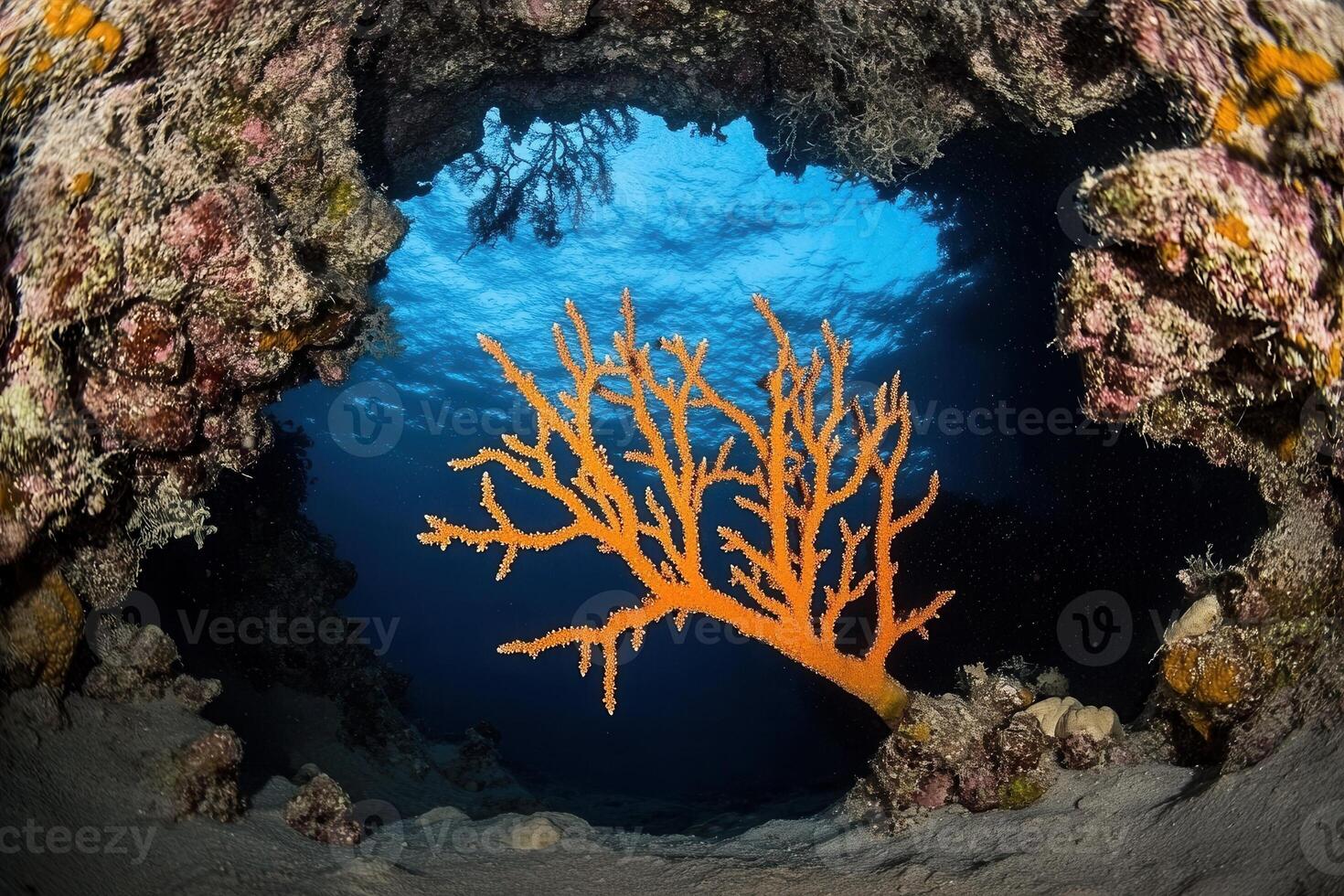Vibrant orange coral in an underwater scene. photo