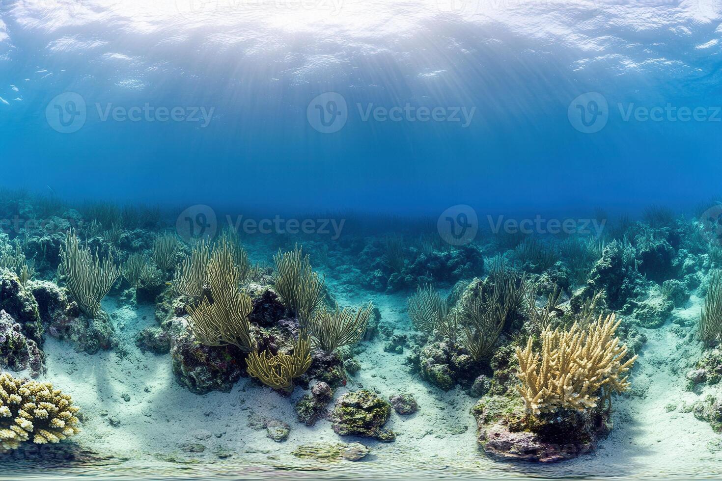 Vibrant underwater scene with coral and marine life. photo