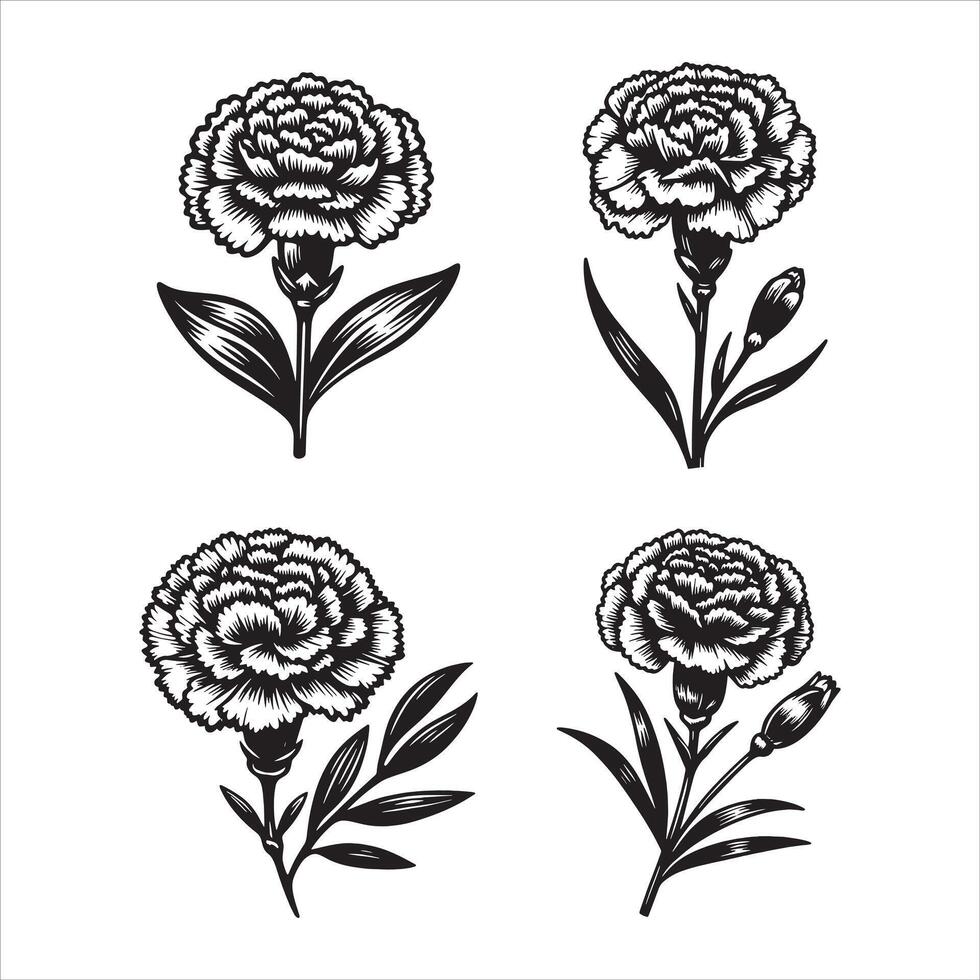 A Bouquet of Timeless Beauty vector