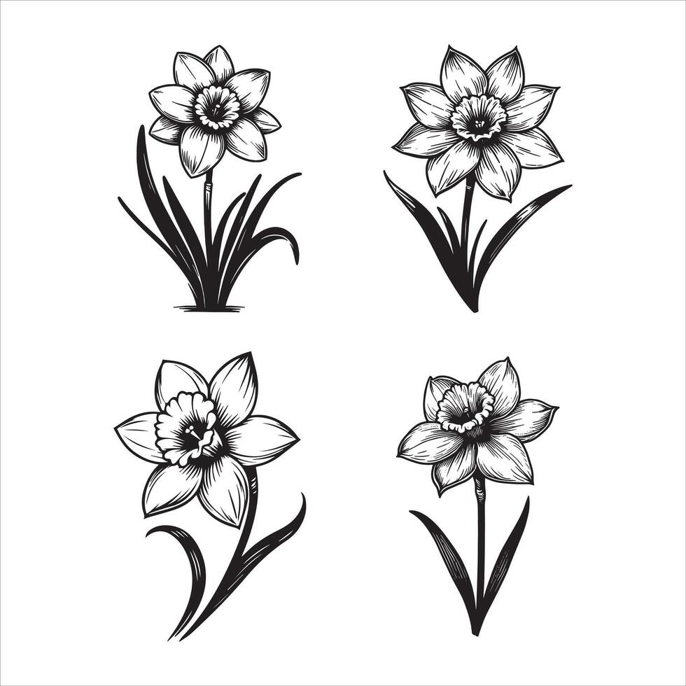 The Sunlit Flower vector
