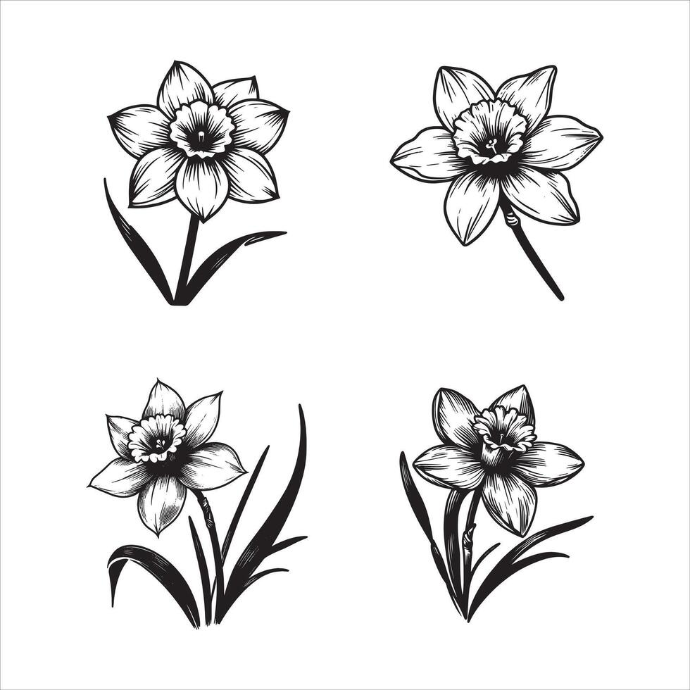 The Daffodils Glow vector