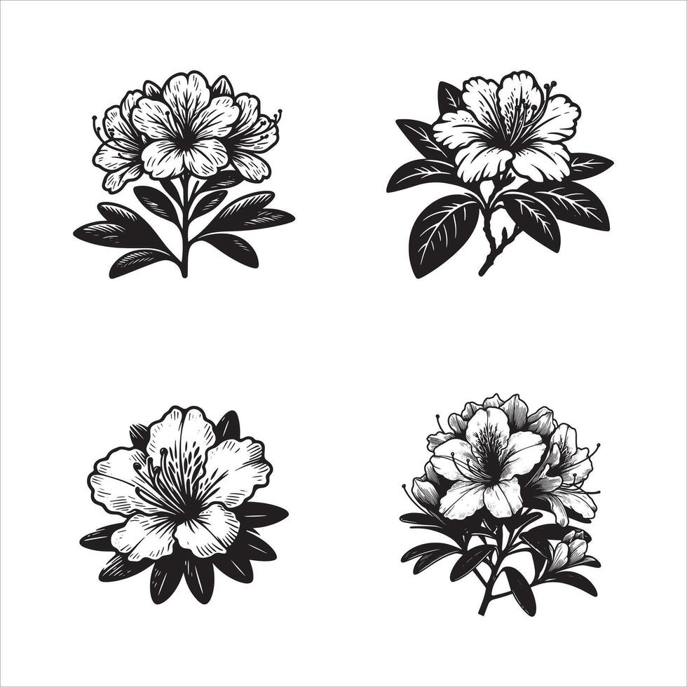 Azalea Dawn A New Day in Bloom vector