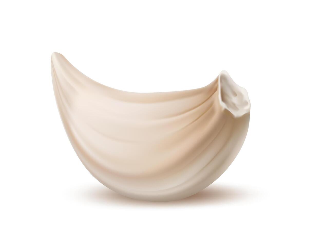 Realistic isolated garlic clove white background vector
