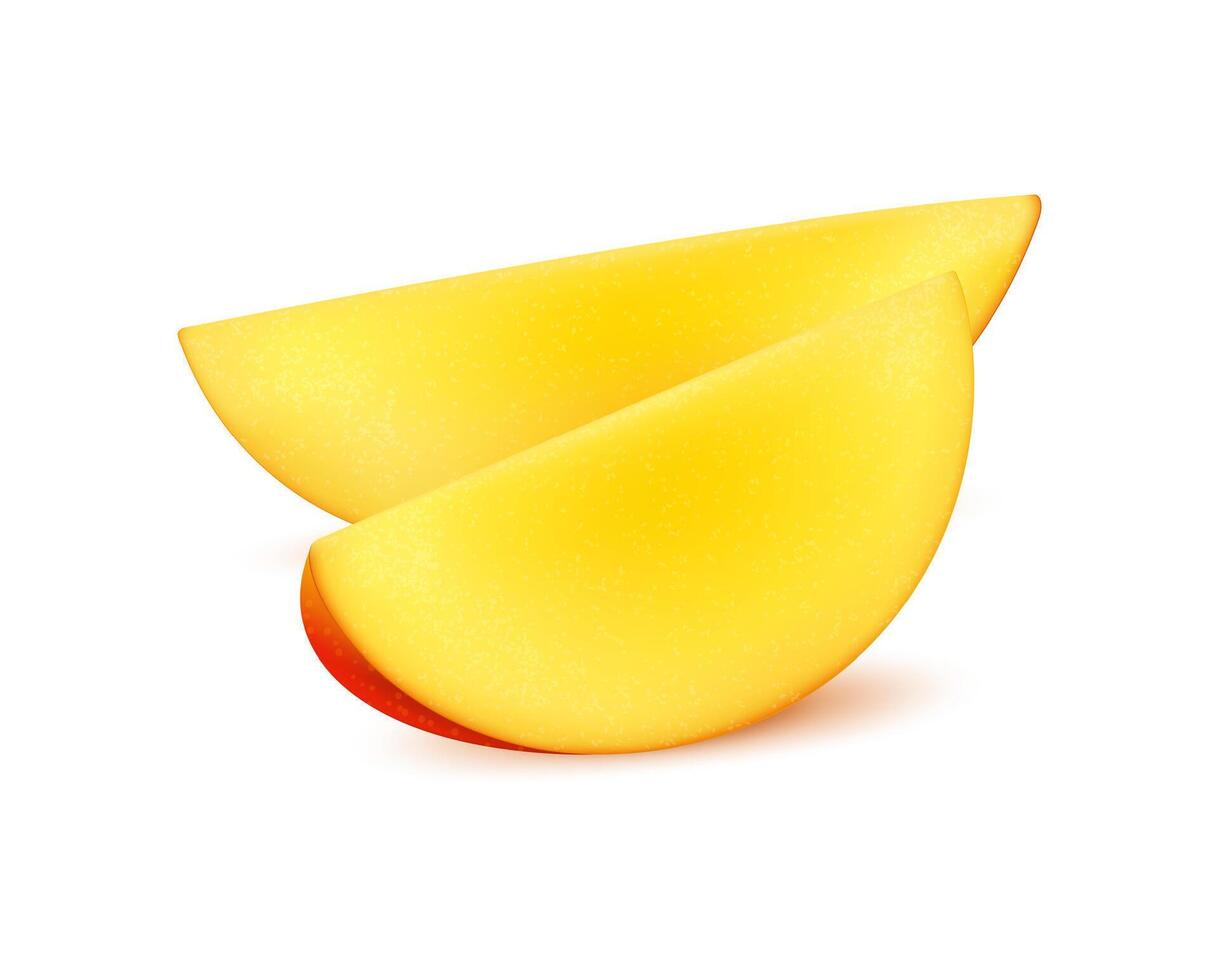 Realistic ripe raw tropical mango fruit slices vector