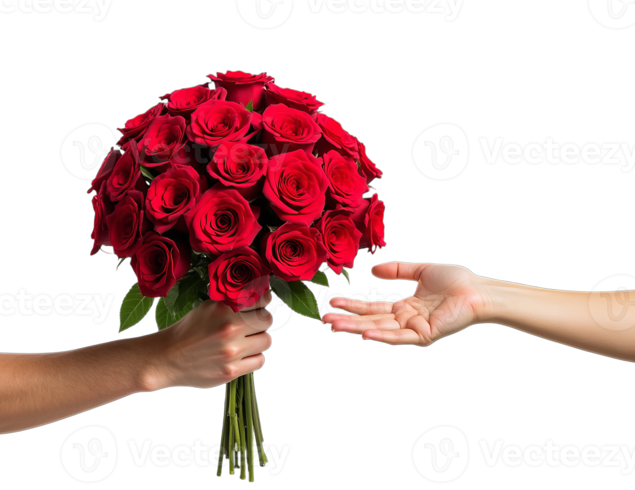 Red roses bouquet held by one hand and offered to another hand, isolated on transparent background, symbolizing love and affection. Flower delivery concept png