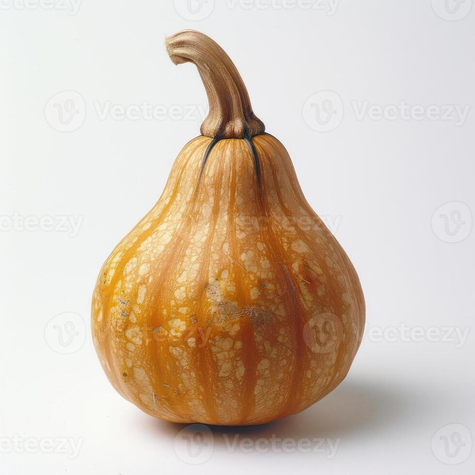 a close up of a figurine on a white background photo