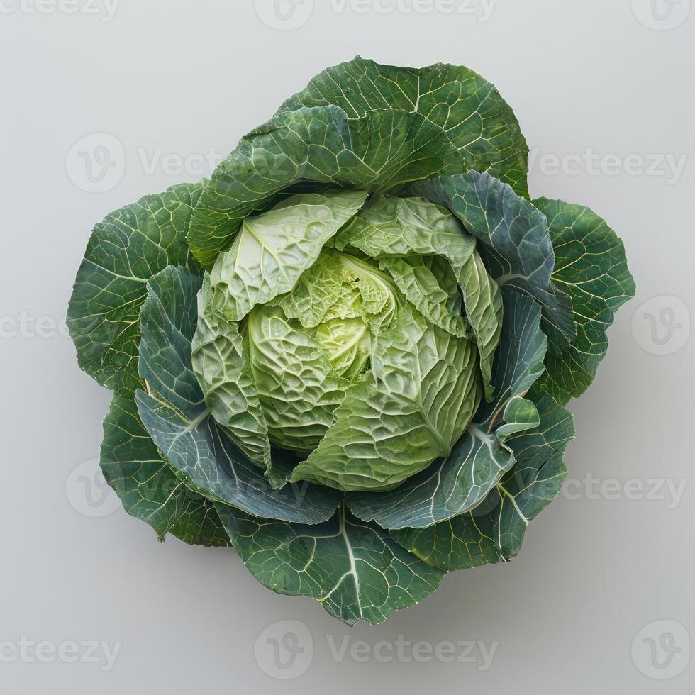 Cabbage in full bloom, showcasing its intricate veins and layers. photo