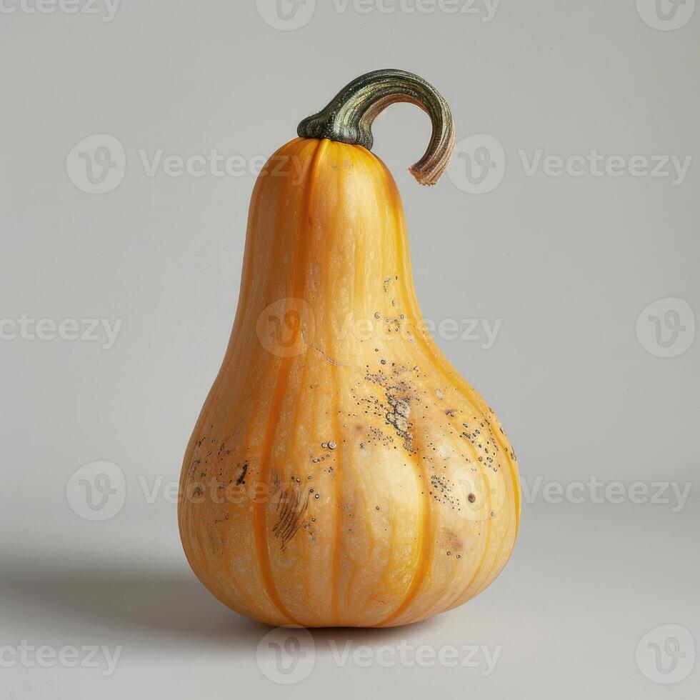 A ripe yellow pumpkin with a brown handle, sitting against a white background. photo
