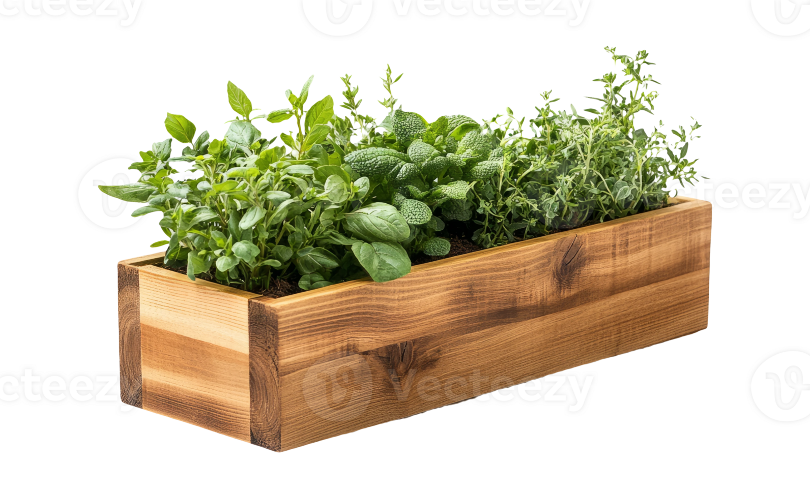 Fresh Herbs in Wooden Planter on Transparent Background png
