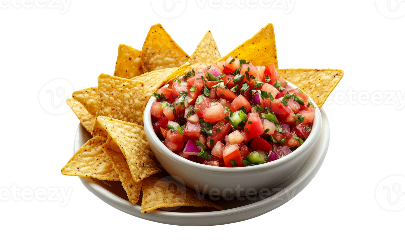 Fresh Salsa with Tortilla Chips on Transparent Background png