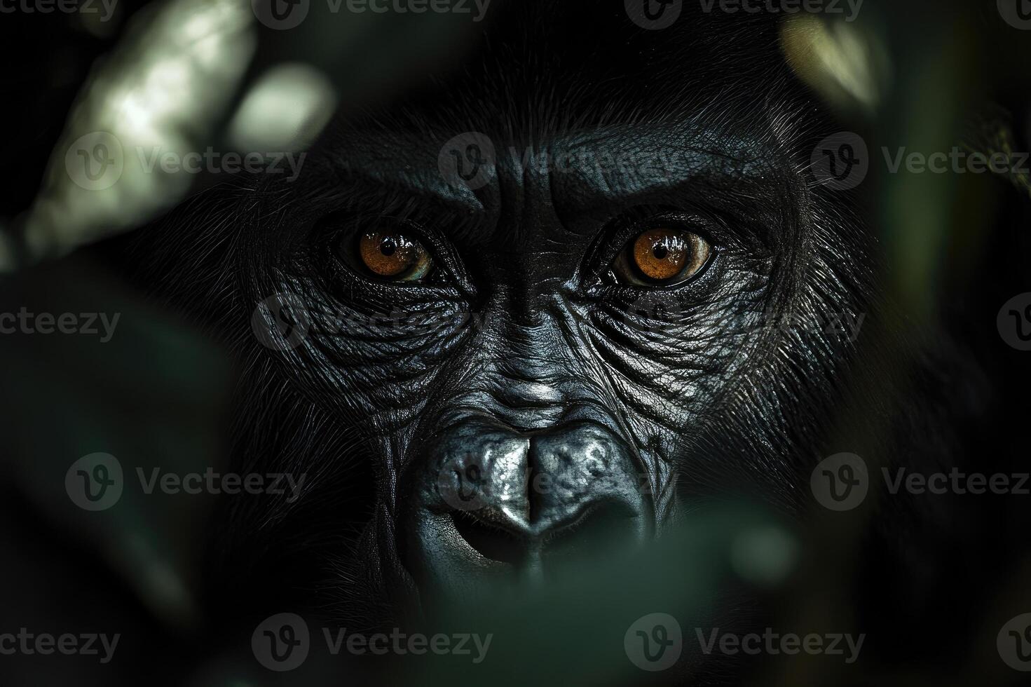 Intense gorilla hiding in the jungle is looking at you photo