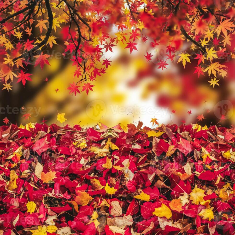 Red, orange, yellow leaves scatter on ground, colorful carpet, sunlight through foliage canopy For Social Media Post Size photo
