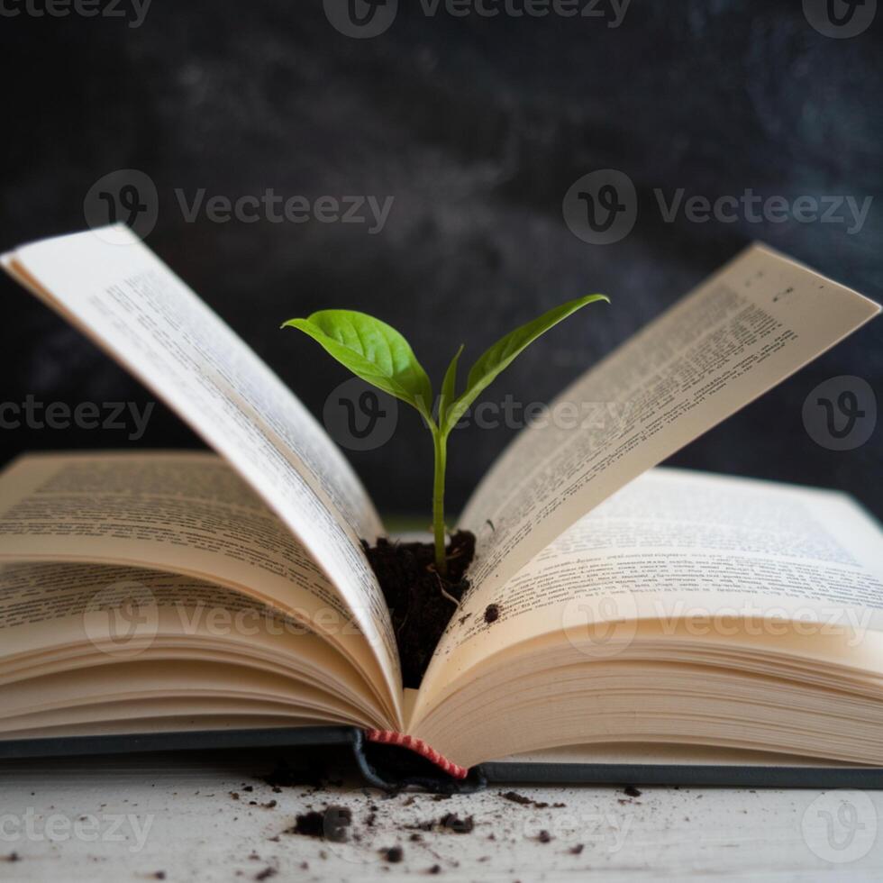 Green plant grows from book pages against a dark backdrop For Social Media Post Size photo