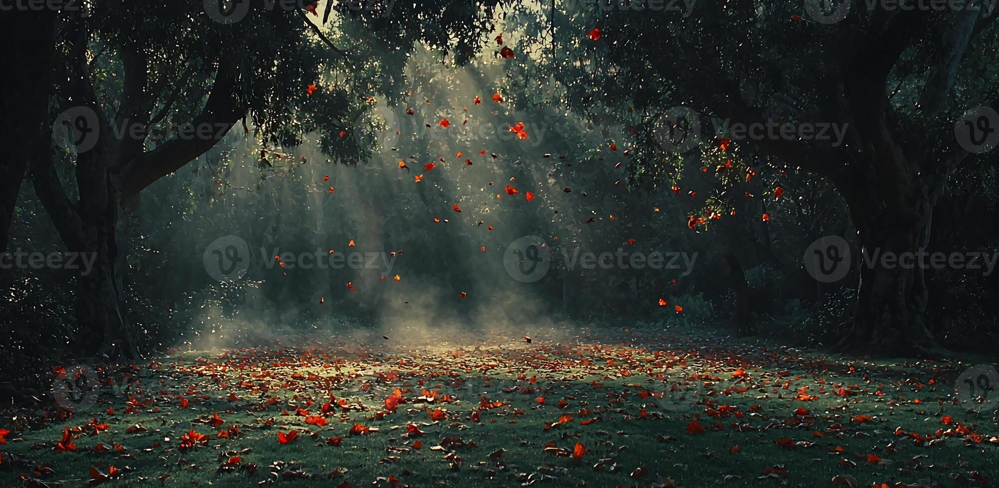 A Serene Autumn Forest Scene with Mist and Dappled Sunlight photo