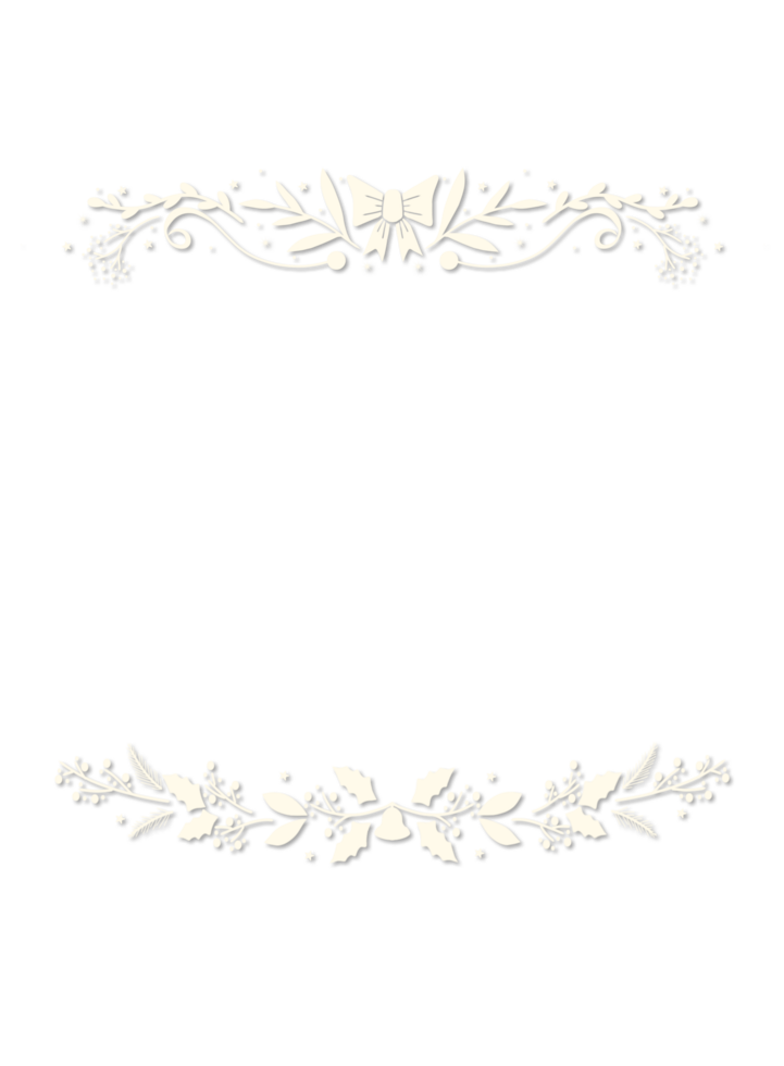 white frame Christmas Border with a floral design png