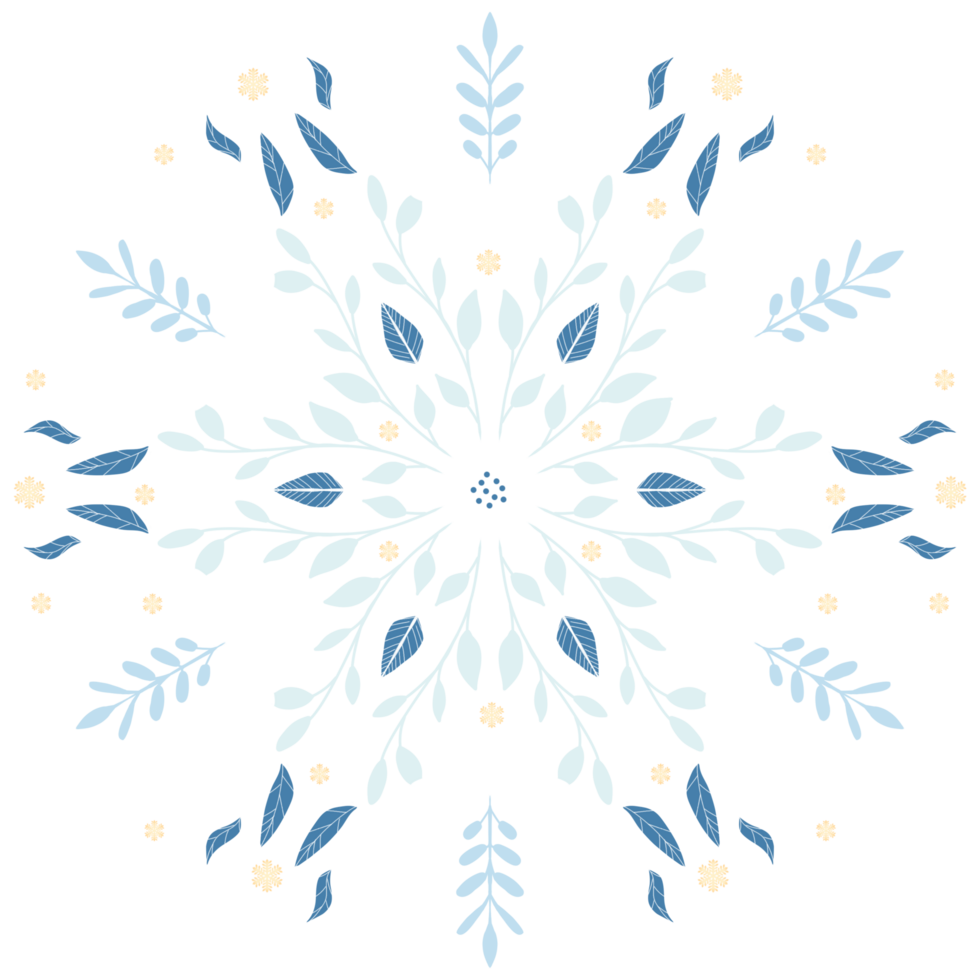 A snowflake pattern on Transparent background png