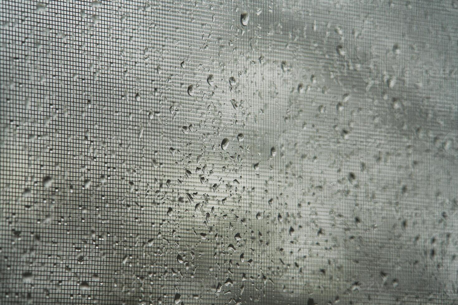 Rain droplets on a window screen during a cloudy day photo