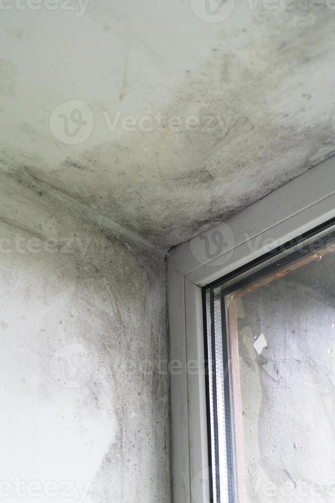 Mold growth in a corner of a damp room with a window photo