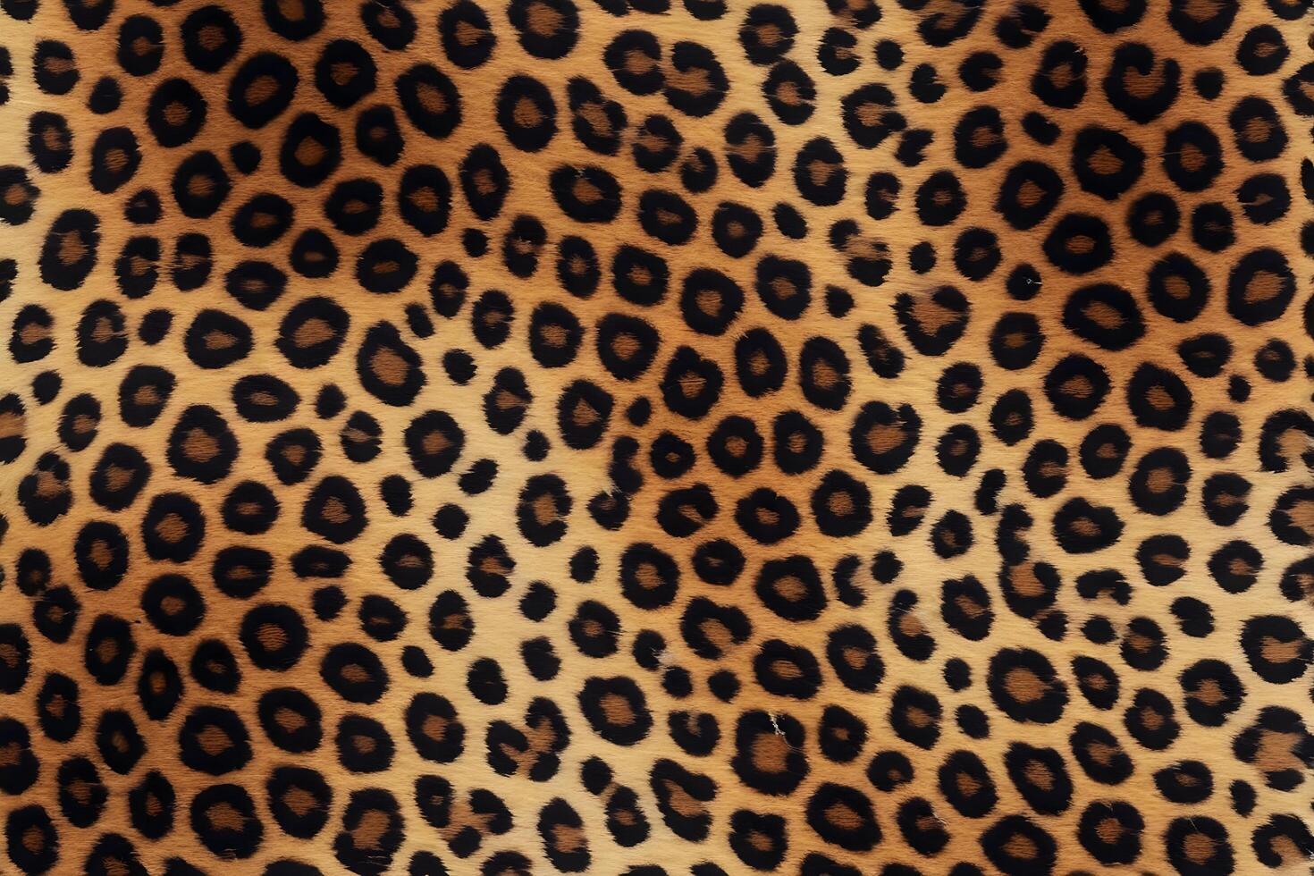 Seamless Leopard Print Pattern. photo