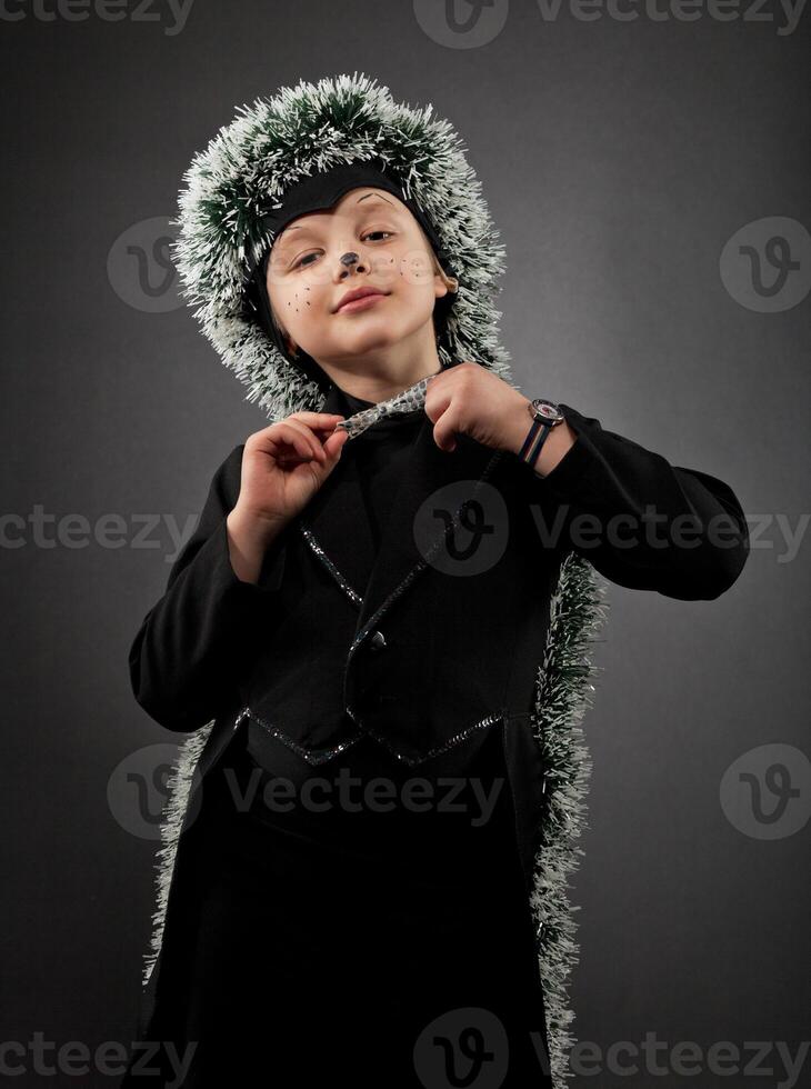 Portrait of the little boy wearing hedgehog suit photo