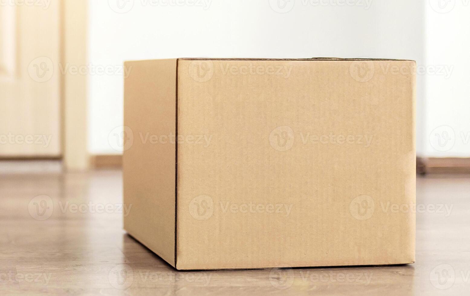 Parcel Delivery. Cardboard Box Lying On Floor Near Door Of Customer's House. Modern Shopping And Courier Delivering Service Conceptual Advertisement Banner. No People, Panorama With Copy Space photo