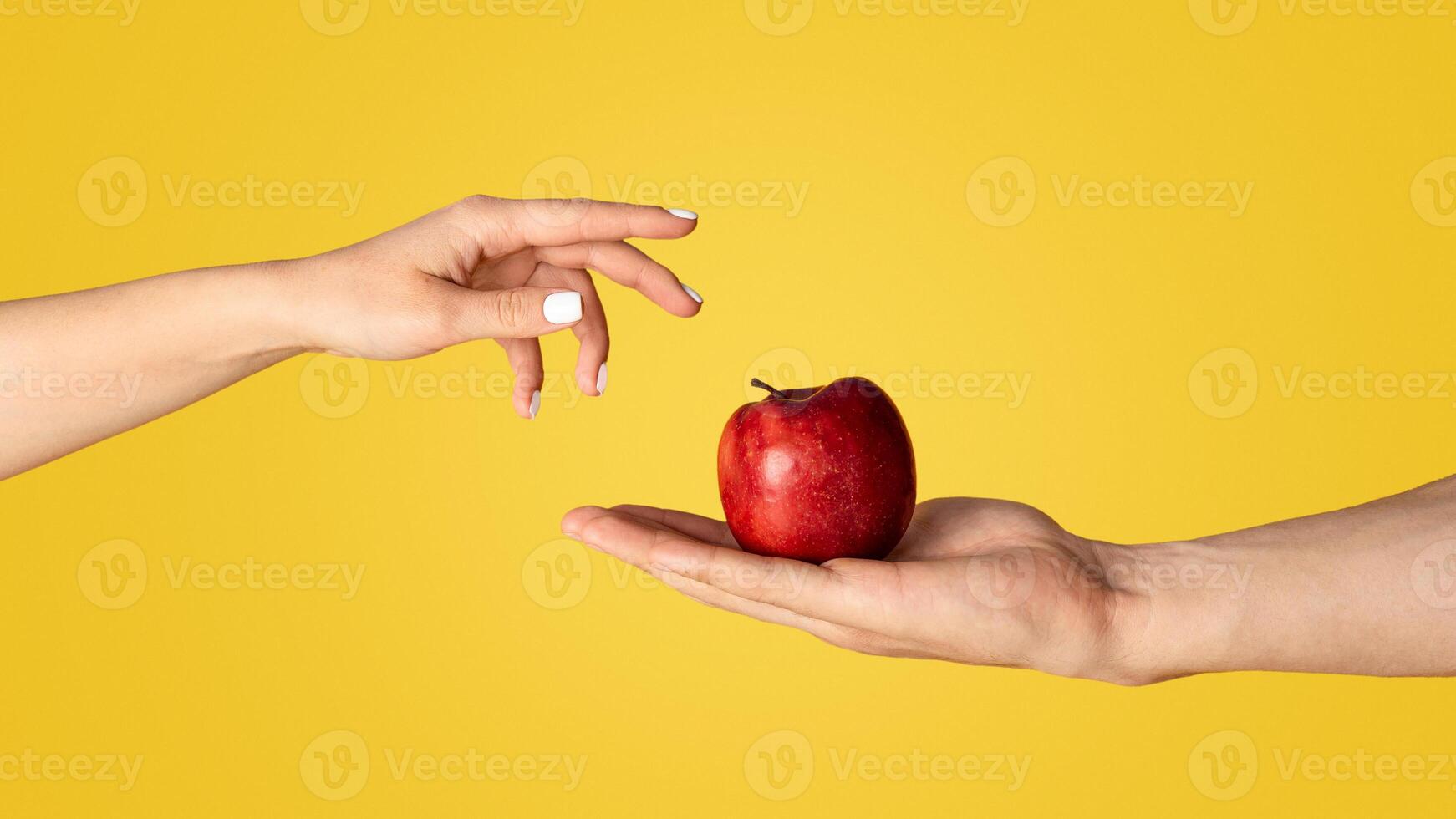 Man and woman with ripe red apple on orange background, close up of hands. Panorama photo