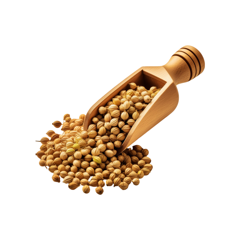 Coriander seed in a wooden scoop on transparent background png