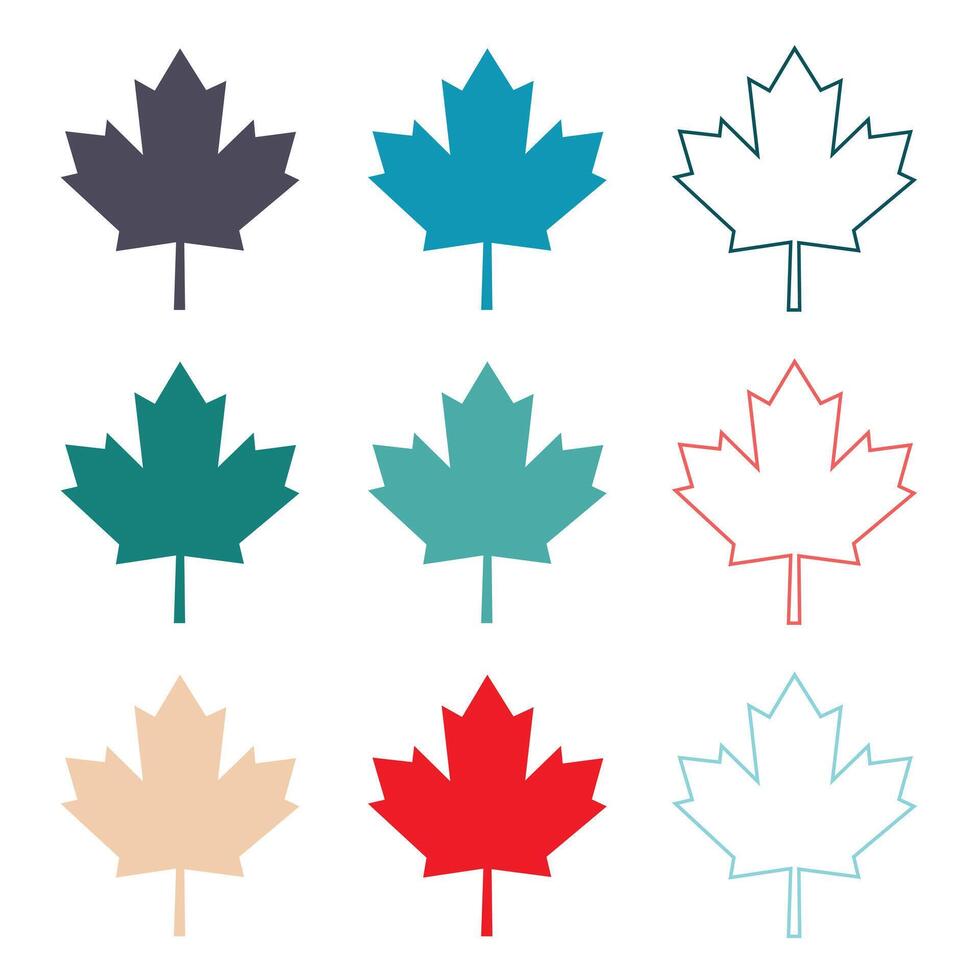 maple leaves icon vector