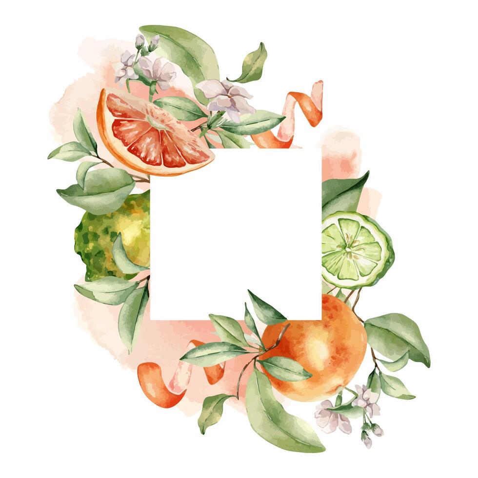 Mixed ripe citrus fruits and white flowers, watercolor splash isolated frame. Hand drawn grapefruit peel, tree branch and jasmine in botanical sketch for package aroma product, summer floral card. vector