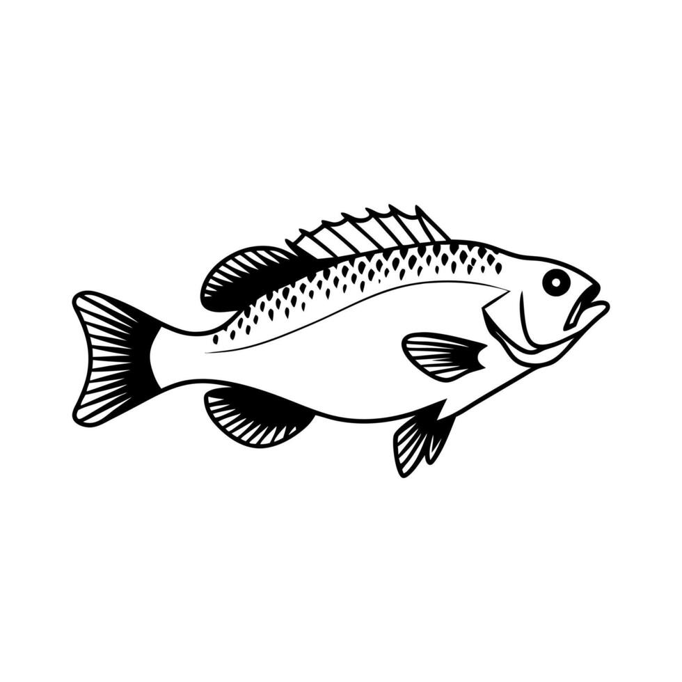 Solid color Fish Art Illustration, Fish Design isolated on a white background vector