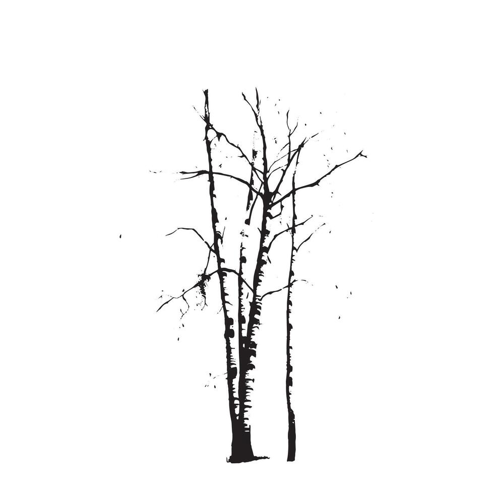 Timeless Birch Tree Silhouette on White Background vector