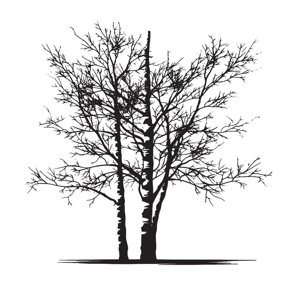 Versatile Birch Tree Silhouette for Design Project vector