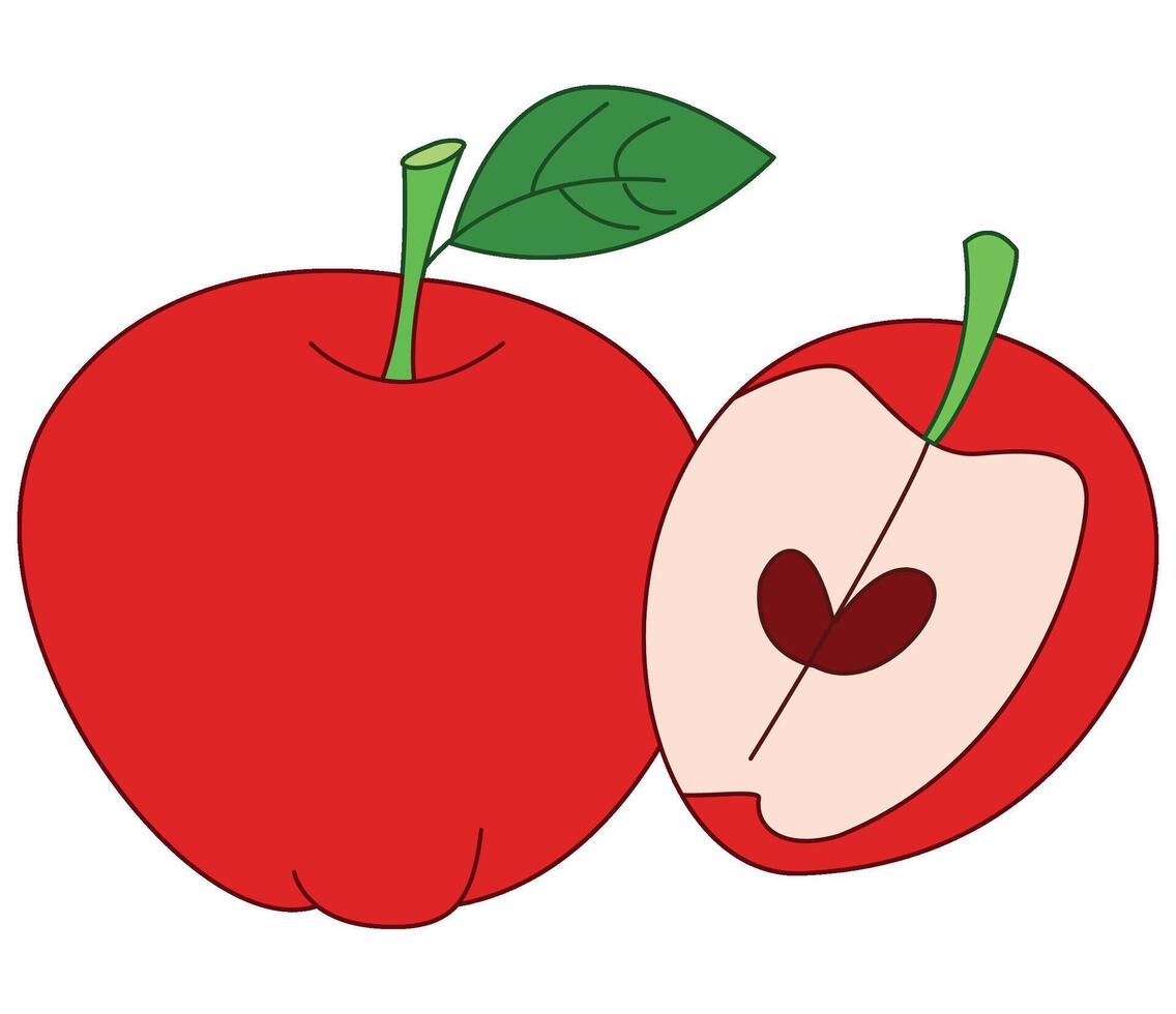 Delicious apple and a cutted piece of it vector
