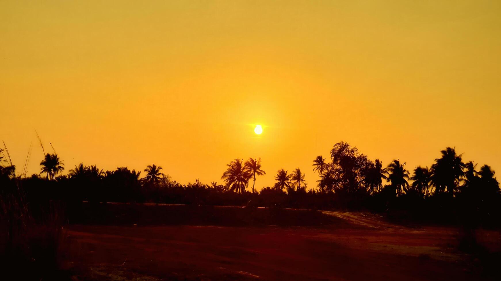Sunset serenity over tropical landscape beachfront nature photography warm atmosphere wide view tranquil vibes for relaxation photo