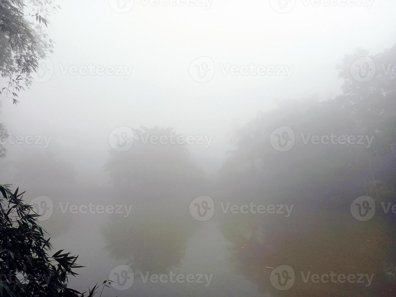 a foggy scene with trees and a pond in the foreground, a foggy lake with trees, village foggy morning photo