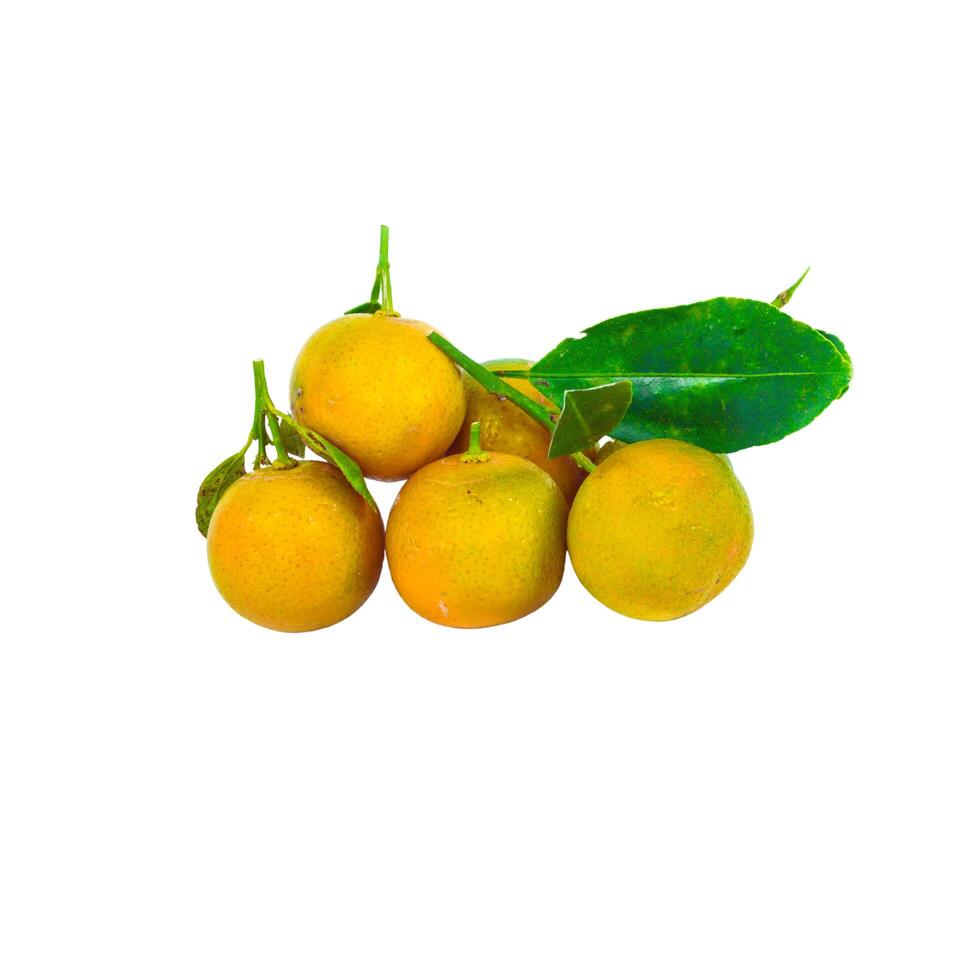 Oranges with leaves on a white surface photo