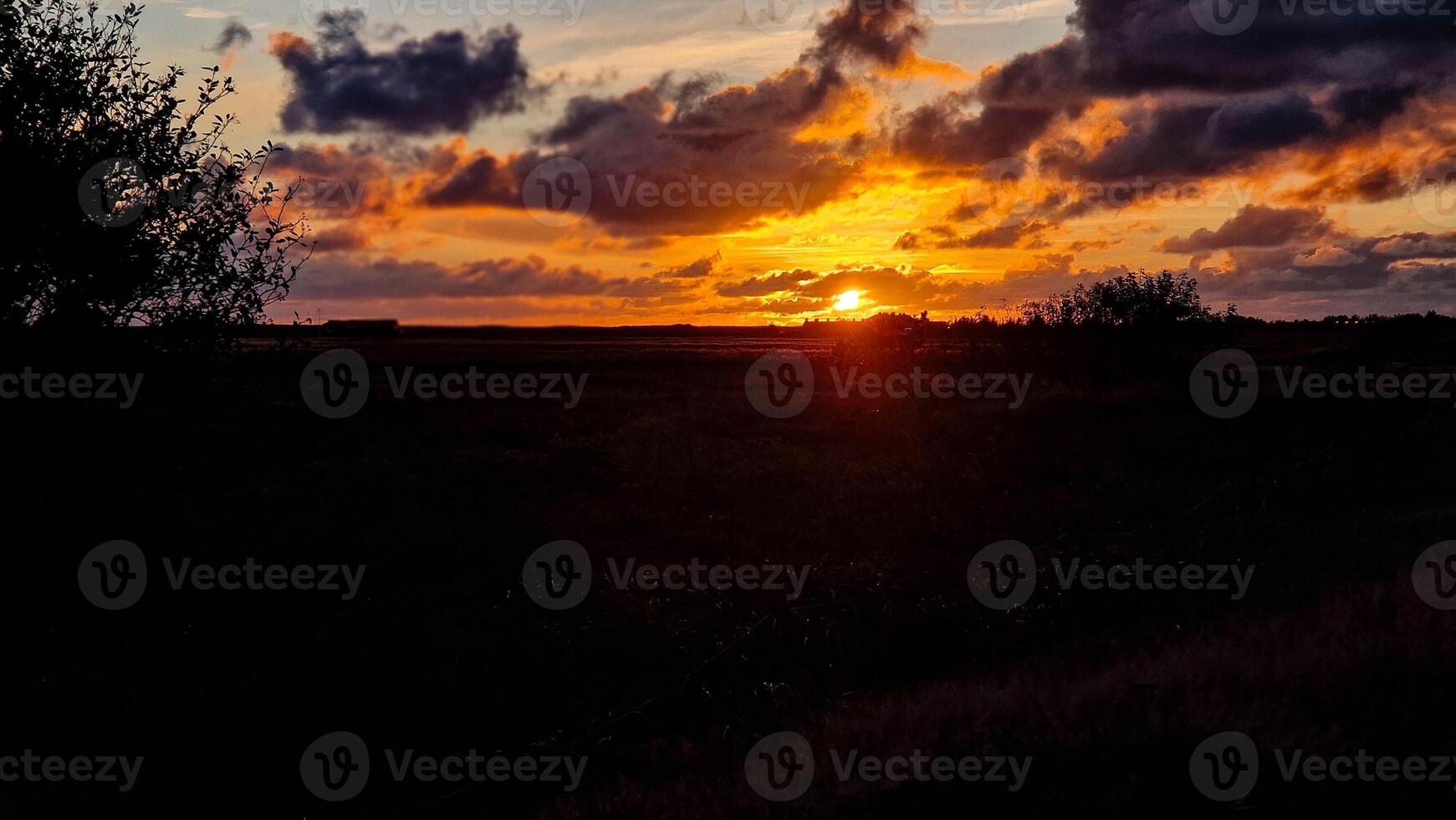 at the beach in Denmark photo
