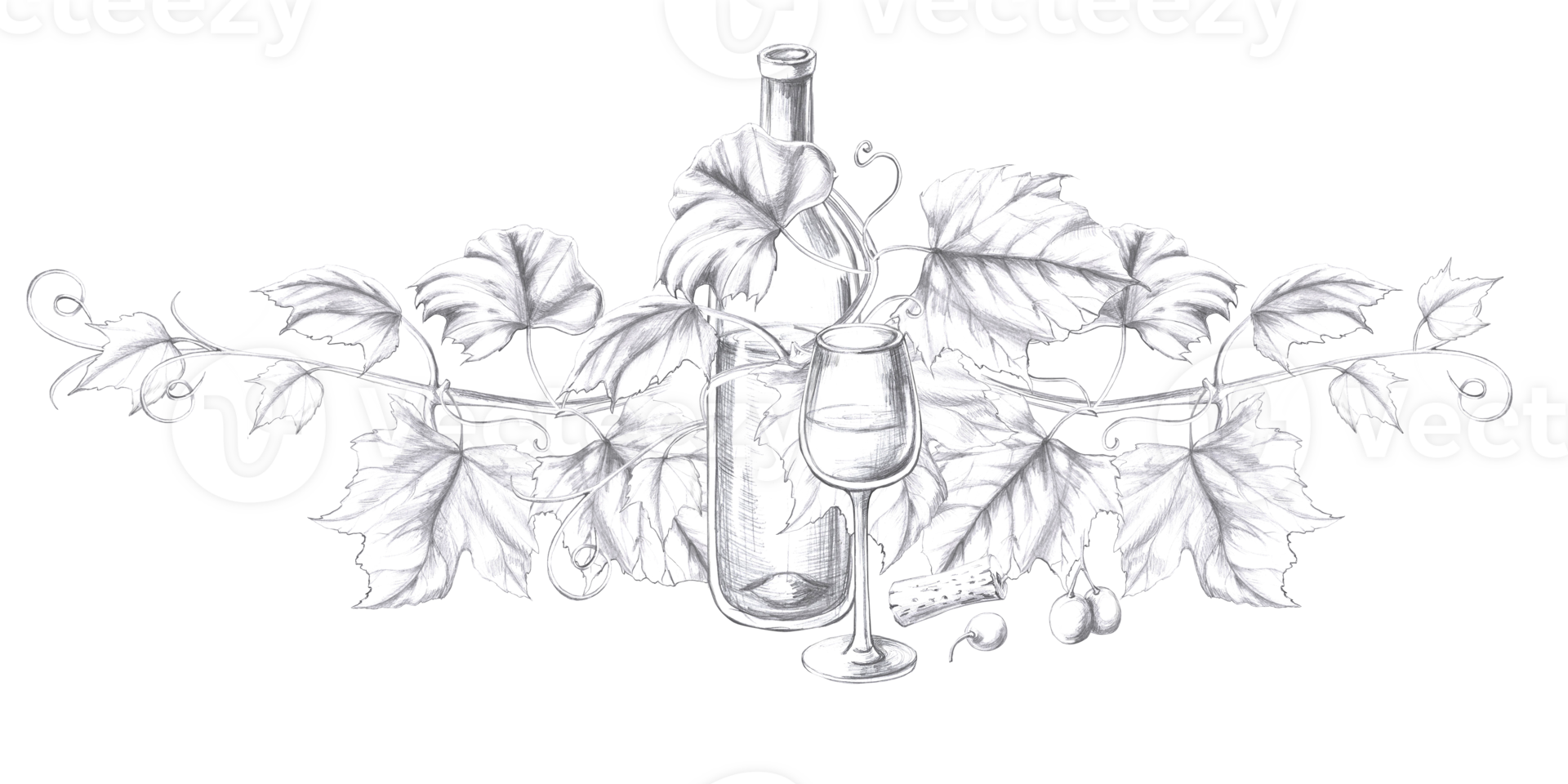 Composition with a bottle of wine entwined with grapes and a glass. Isolated pencil illustration in a realistic style for the design of postcards, bar menu, menu design, alcoholic beverages. png