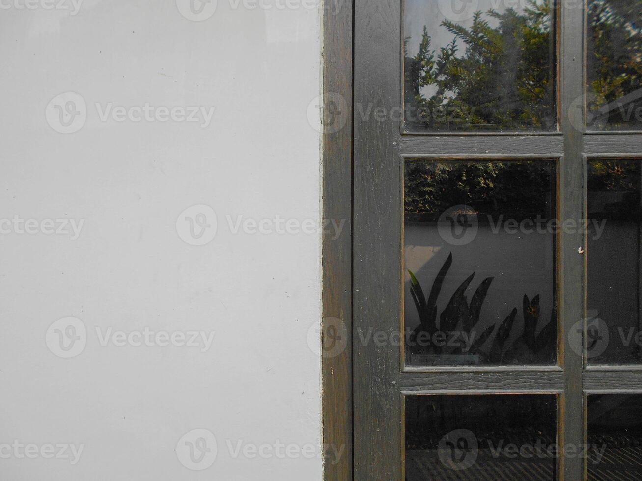 A cat sitting on a window sill photo